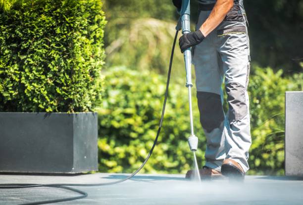 Spring Cleaning in Sebastopol, CA