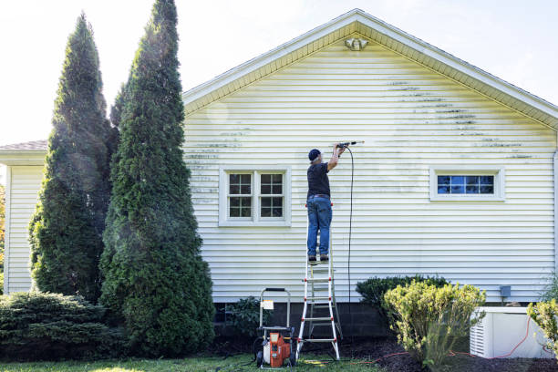 Professional Pressure Washing Services in Sebastopol, CA